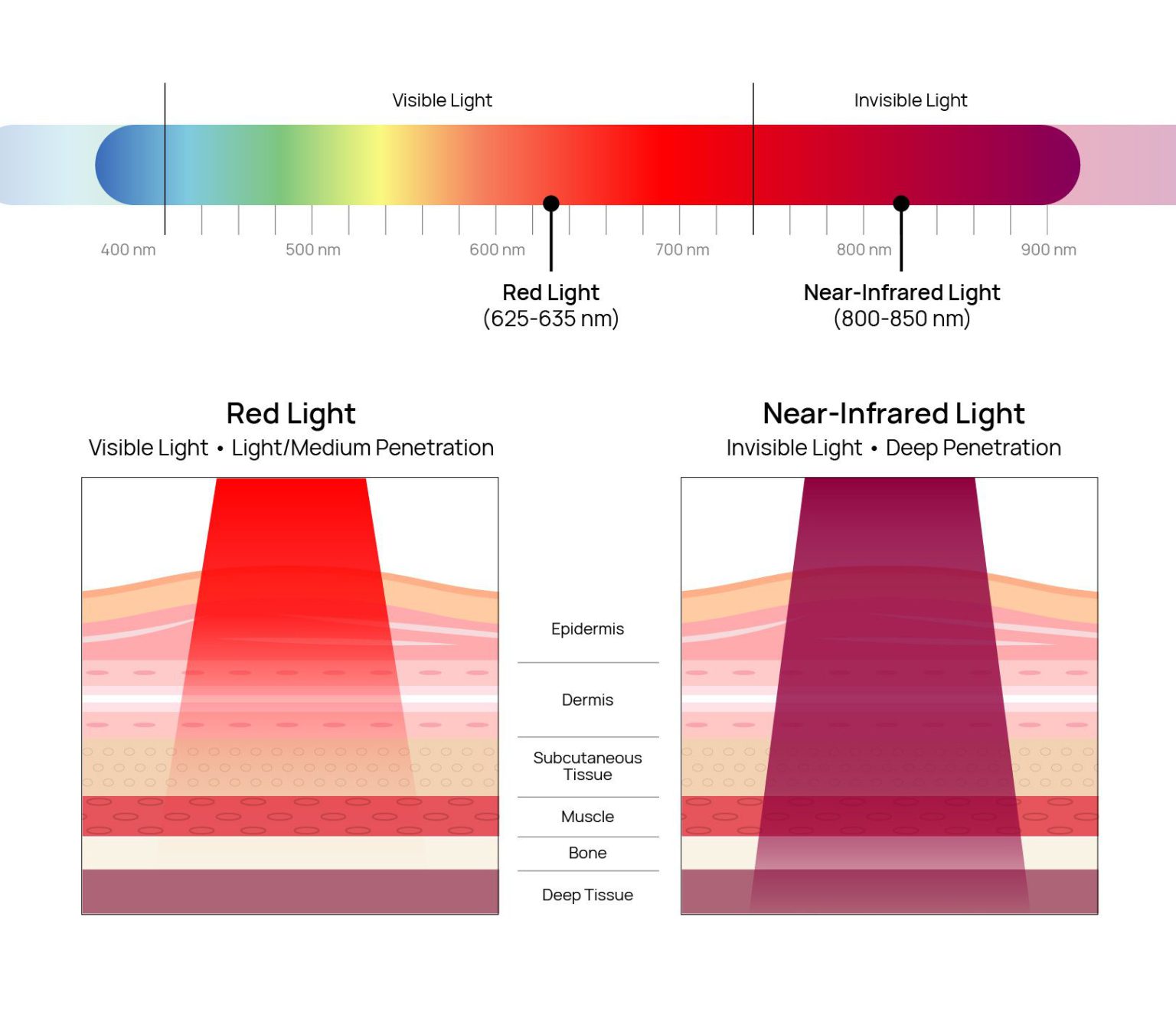 How does red light therapy work?